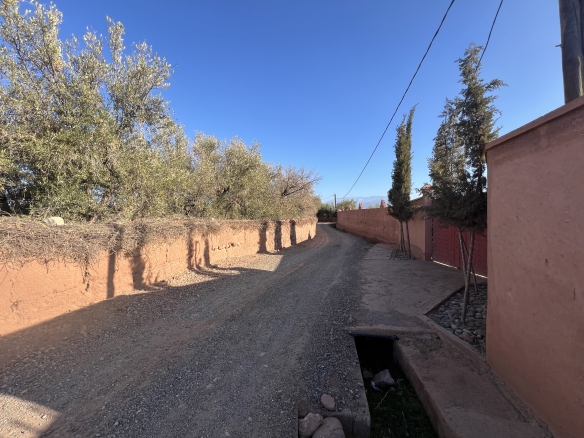 img 7354
