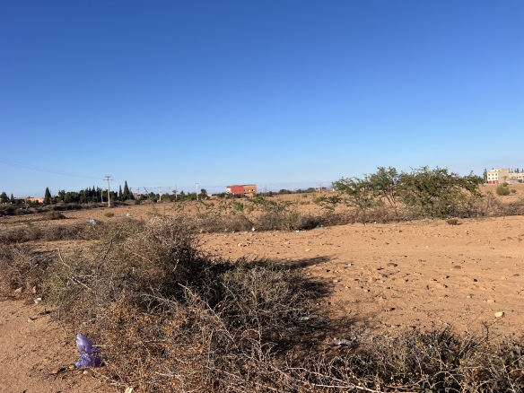 img 7385