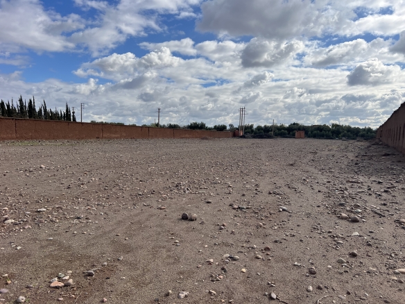img 0096